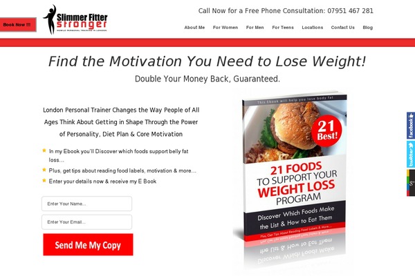 Promotion theme site design template sample