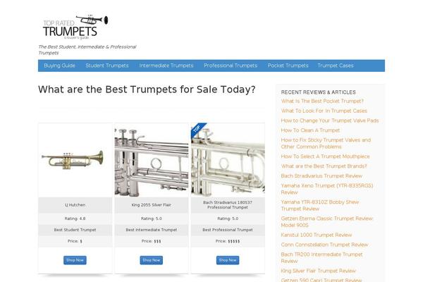 Site using Easyazon-pro-4.0.11 plugin