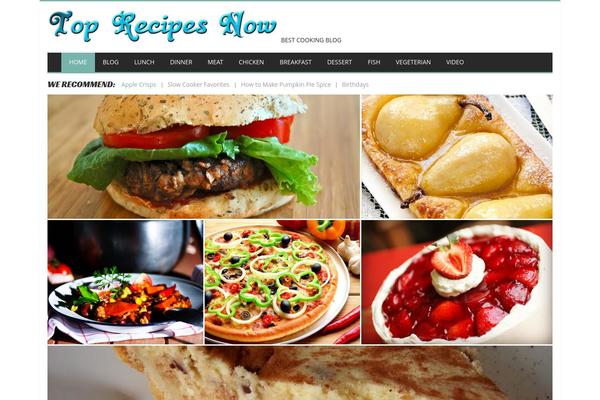 theme49250 theme websites examples