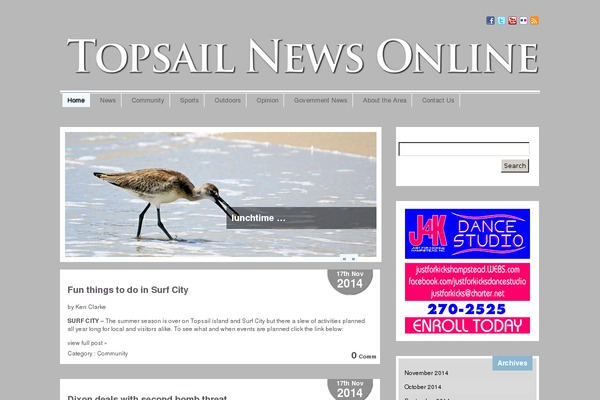 Scylla_pro theme site design template sample