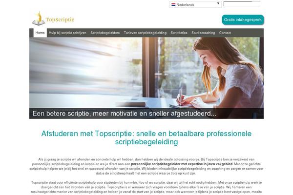 Site using Tabs Shortcode and Widget plugin