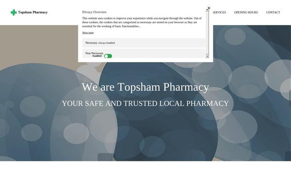 Enside theme site design template sample