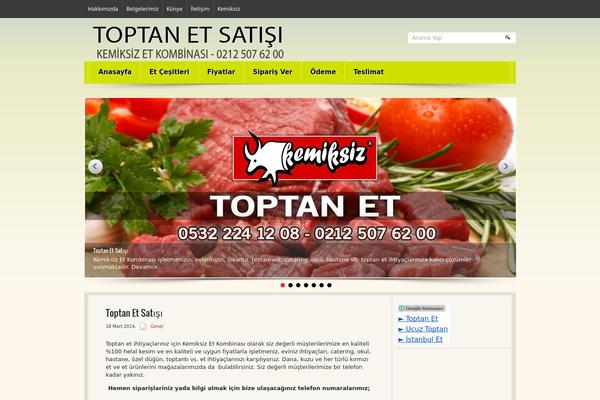 Bizpress theme site design template sample