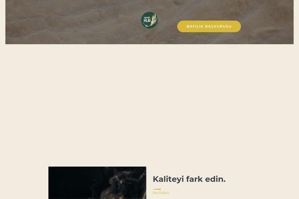 Alanzo theme site design template sample