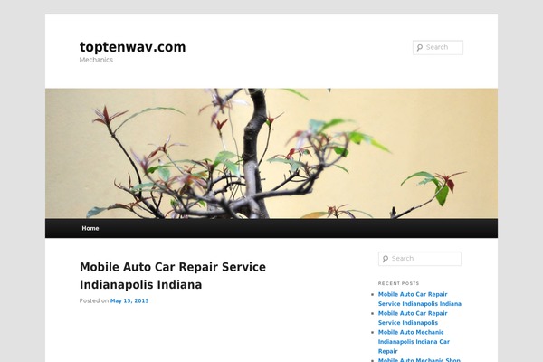 Site using Digg Digg plugin