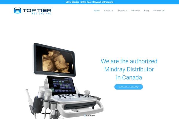 Bridge Child theme site design template sample