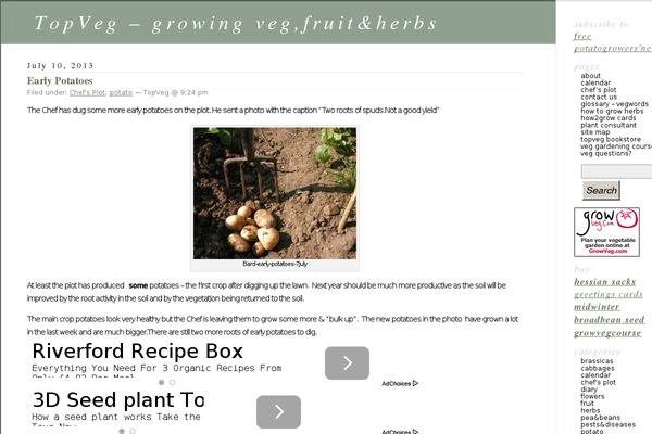 Classic theme site design template sample