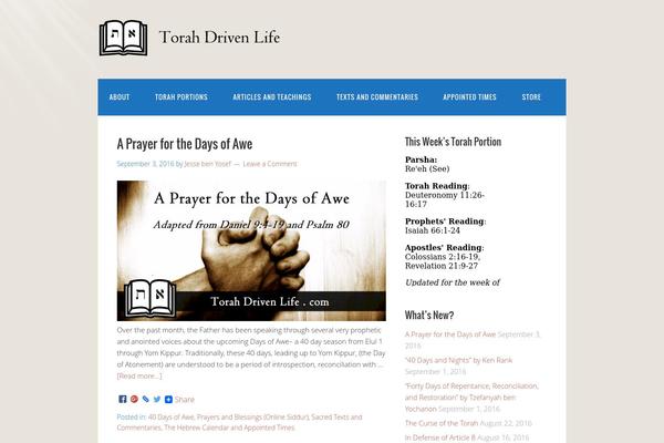Asteria Lite theme site design template sample