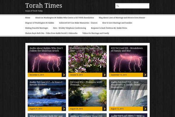 Newschannel theme site design template sample