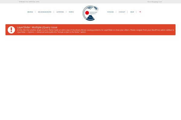 Site using RSS Retriever plugin