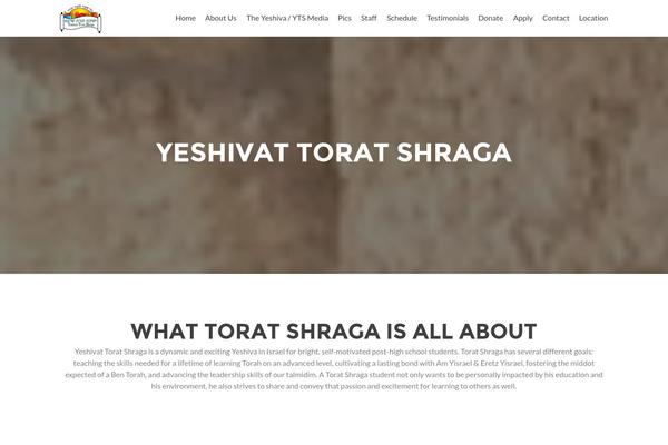 Zerif Pro theme site design template sample