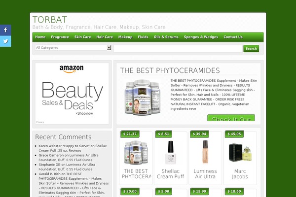 Basiczone theme site design template sample