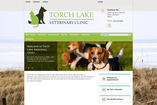 Site using Lifelearn-accessibility plugin