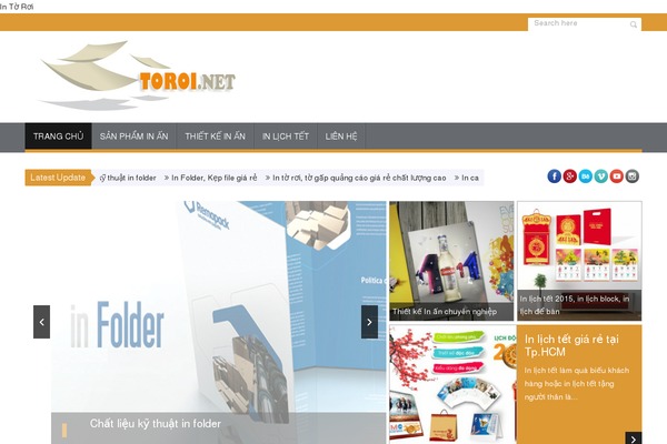 SaladMag theme site design template sample