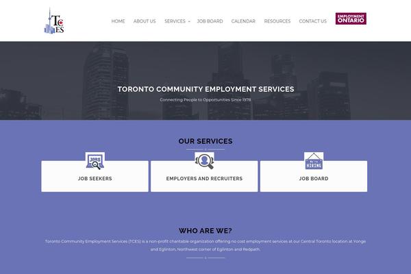 Site using Twitter Widget with Styling plugin