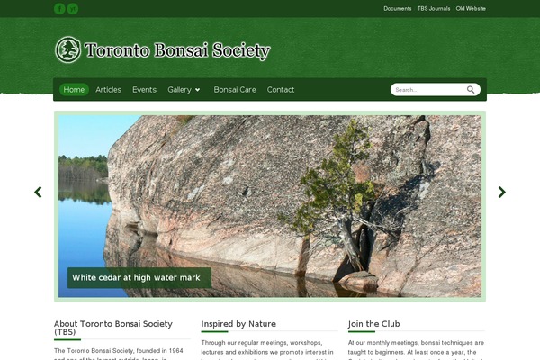 Relief theme site design template sample