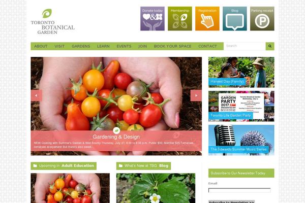 Site using Different-menus-in-different-pages plugin