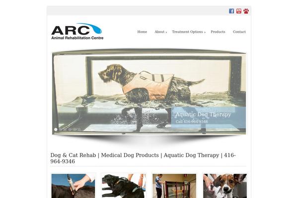 Andrina theme theme site design template sample