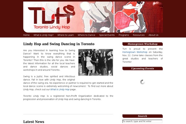 Divi Child theme site design template sample