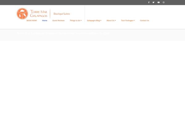 Starhotel theme site design template sample