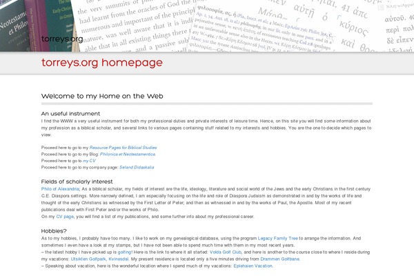Promotion theme site design template sample