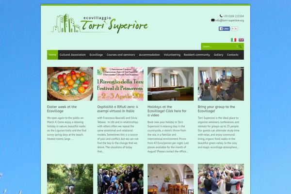 Blue Diamond theme site design template sample