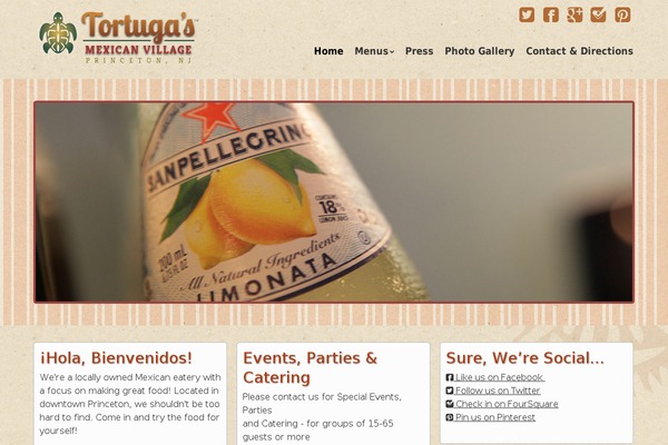 tmv theme websites examples