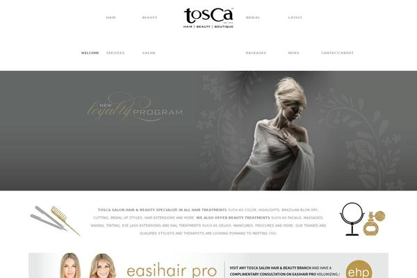 toscasalon.co.za site used Wp_suarez_child