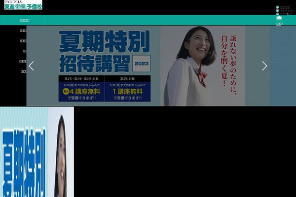 toshin-tierra.com site used Toshin