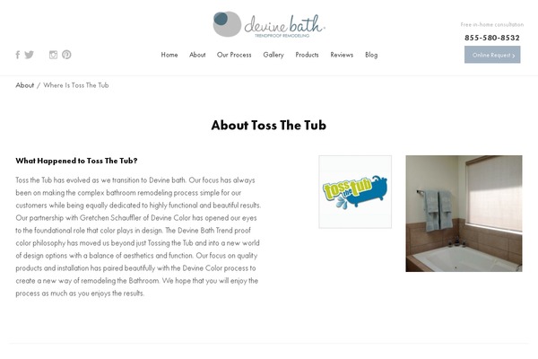tossthetub.com site used Ttt