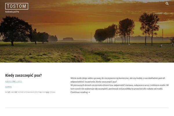 Radium theme site design template sample