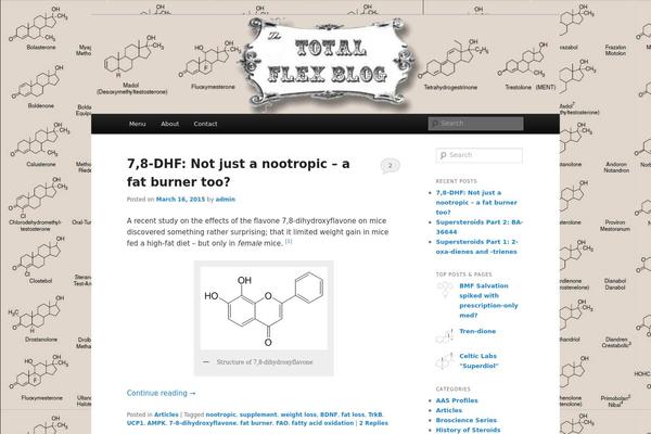 Twenty Eleven theme site design template sample