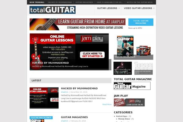 Point theme site design template sample