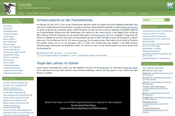 Site using Dave's WordPress Live Search plugin
