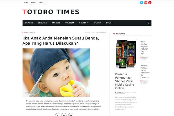 MaxBlog theme site design template sample