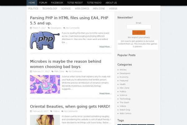 Truepixel theme site design template sample