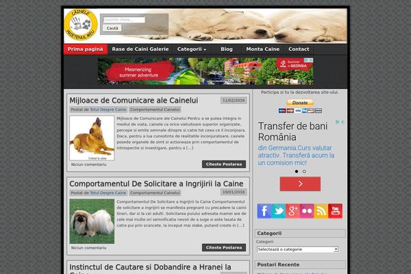 Site using Hero Social Widget plugin