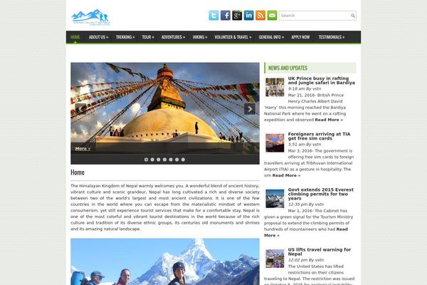 Enis theme site design template sample