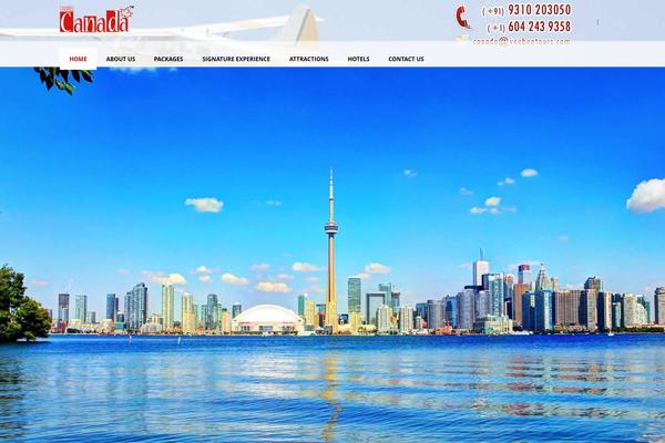 Site using All-in-one-seo-pack-pro plugin