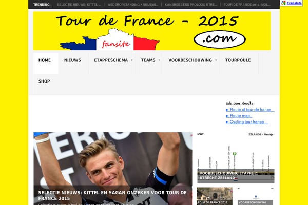Point theme site design template sample
