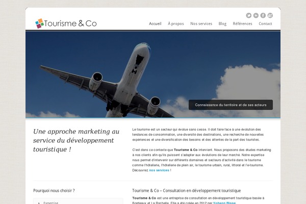 consultant theme site design template sample