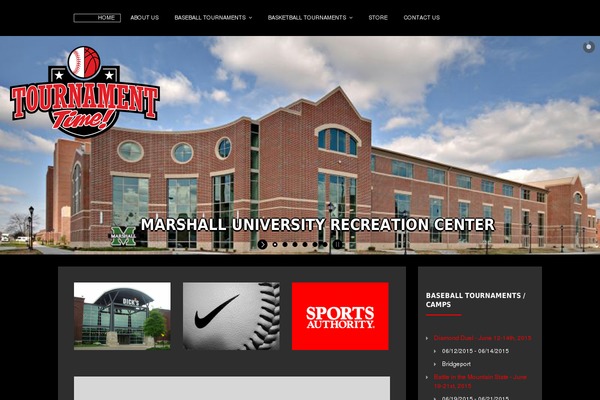 Ace theme site design template sample