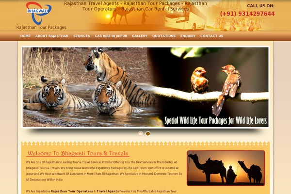 Twenty Eleven theme site design template sample
