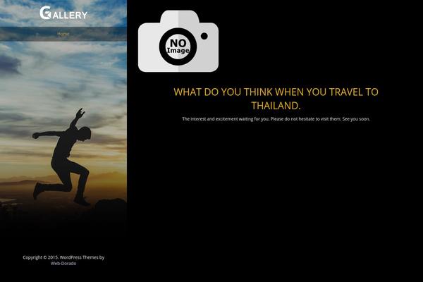 portfolio-gallery theme websites examples