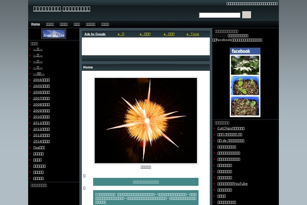 Contrast Style theme site design template sample