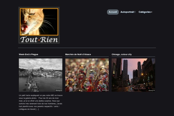Photoria theme site design template sample