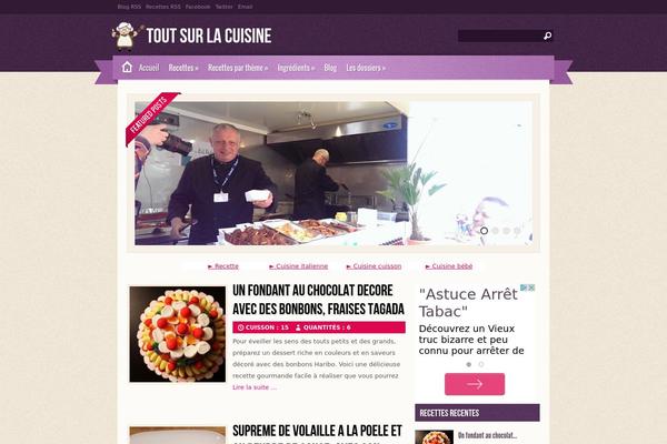 Zylyz theme site design template sample