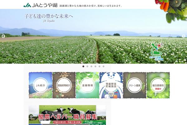 Site using Japanese-font-for-tinymce plugin