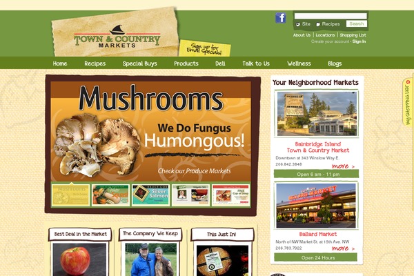 townandcountry theme websites examples