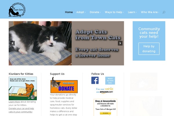 Site using Better Google Analytics plugin